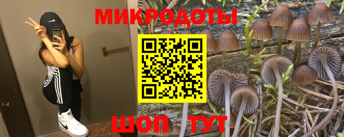 Галлюциногенные грибы Psilocybine cubensis Муравленко