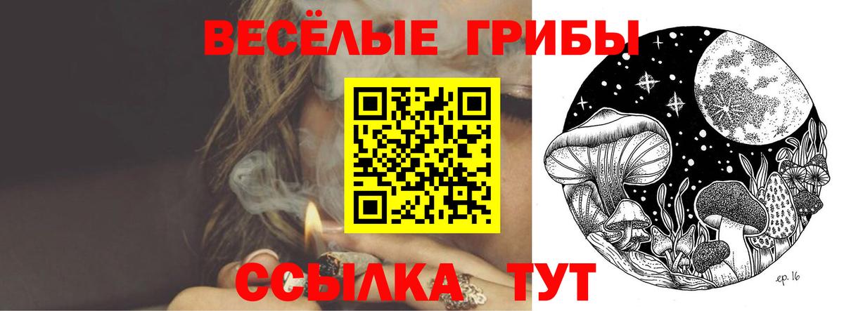 сколько стоит  Псилоцибиновые грибы MAGIC MUSHROOMS  Вход с VPN  Галлюциногенные грибы ЛСД  Муравленко 